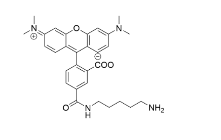 5-TAMRA Cadaverine 