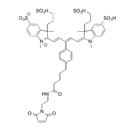 IR 650 Maleimide