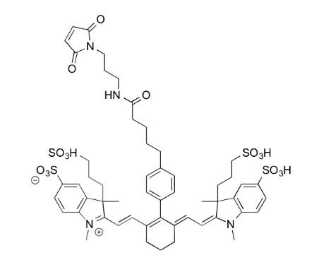 IR 750 Maleimide