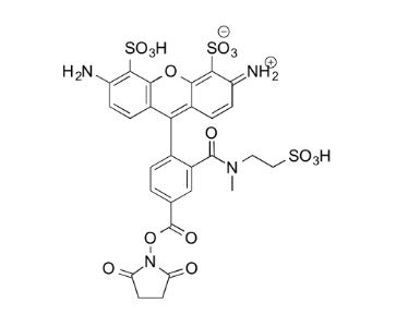 MB 488 NHS ester