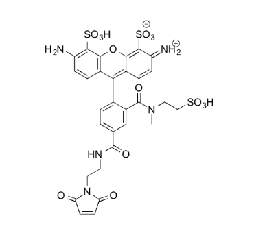 MB 488 Maleimide 