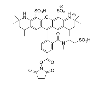 MB 543 NHS ester