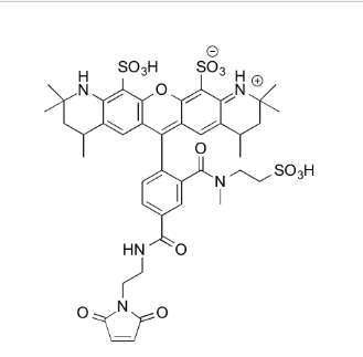 MB 543 Maleimide 