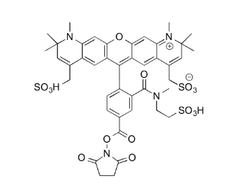 MB 594 NHS Ester