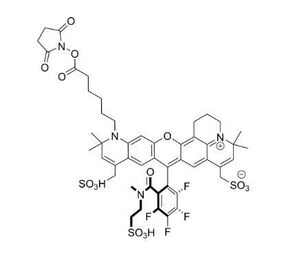 MB 633 NHS Ester 