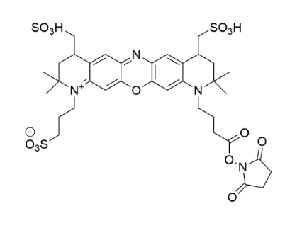 MB 660R NHS Ester