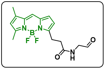 BODIPY aminoacetaldehyde,cas:247069-94-9