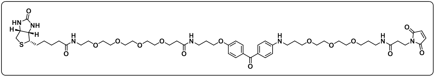 UV-Tracer Biotin Mal