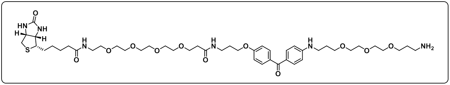 UV-Tracer Biotin amine