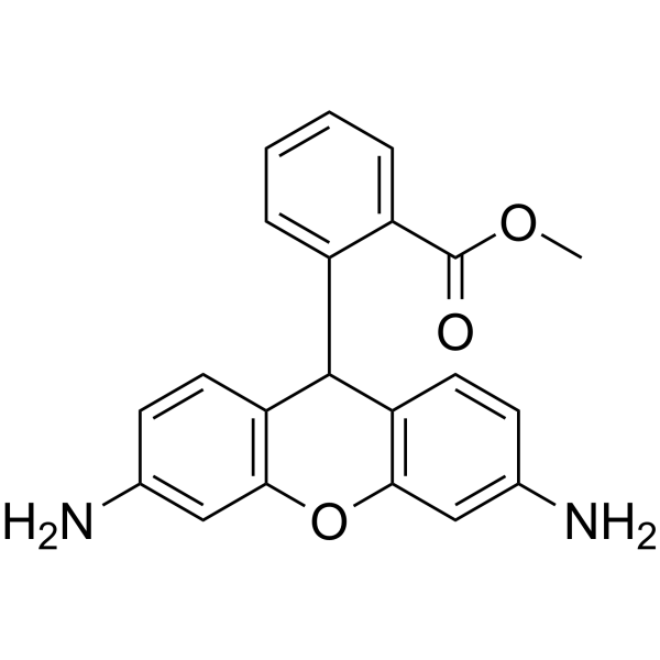 Dihydrorhodamine 123,cas:109244-58-8