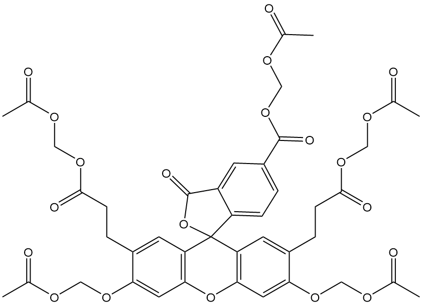 BCECF AM,cas:117464-70-7