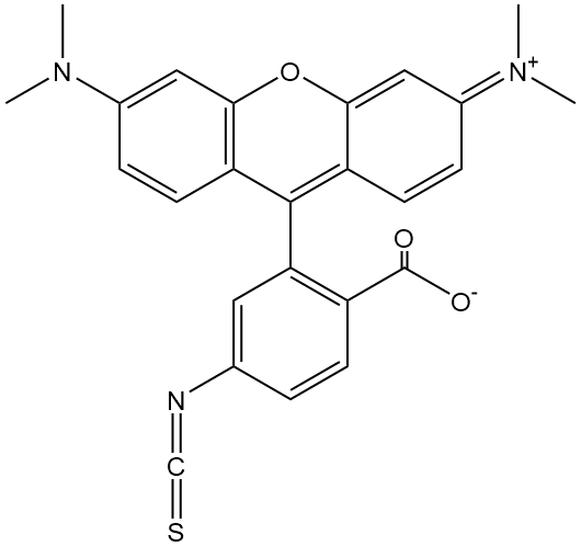 Tetramethylrhodamine isothiocyanate (mixed isomers),cas:95197-95-8