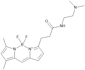 LysoTracker Green DND-26