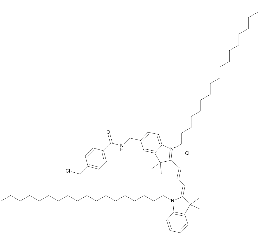 CellHunt CM-DiI,cas:180854-97-1 