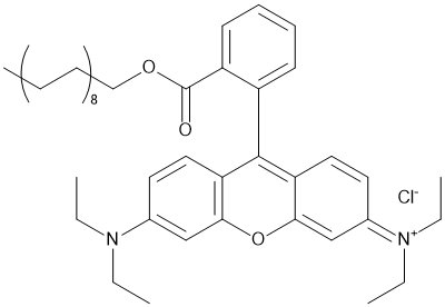 Octadecyl Rhodamine B Chloride,cas:65603-19-2