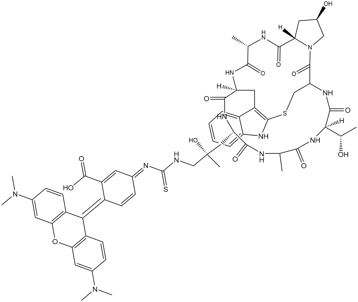 Phalloidin-TRITC,Cas：915013-10-4 