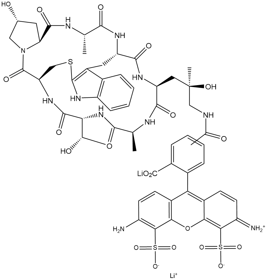 Phalloidin-TFAX 488,cas:289620-19-5 