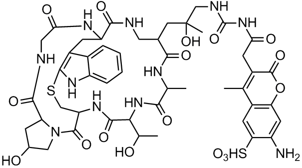 BF 350 Phalloidin 