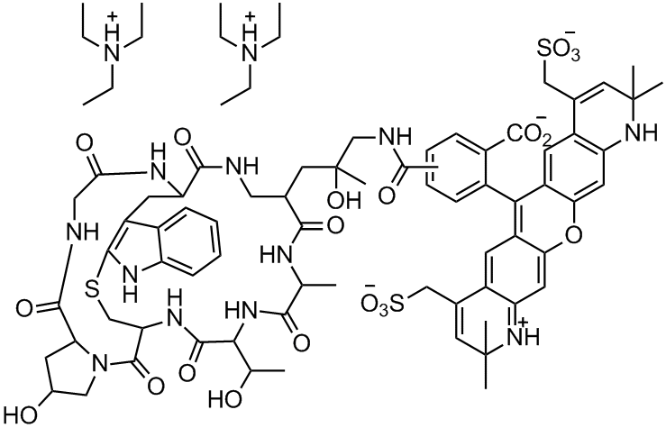 BF 568 Phalloidin  