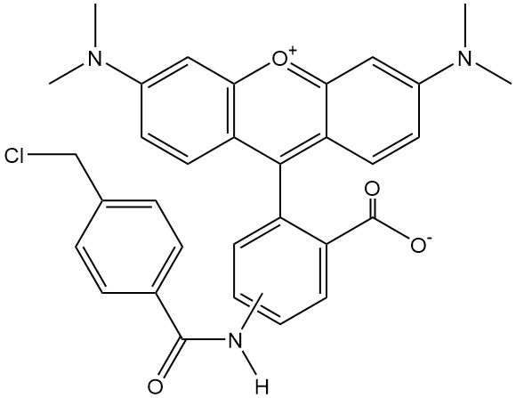 CytoTrace™ Orange CMTMR,cas:323192-14-9