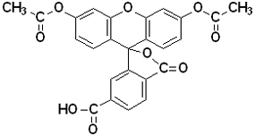 6-CFDA,cas:3348-03-6