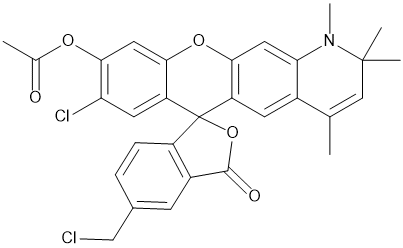 CellTracker Orange CMRA Dye