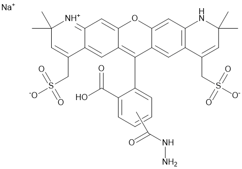 BF 568 Hydrazide