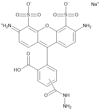 Bella Fluor 488 Hydrazide