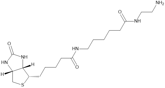 Biotin-X-ethylenediamine