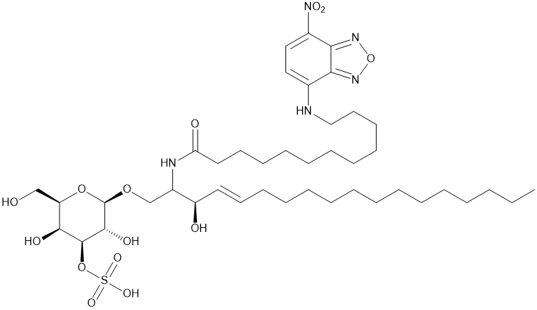 C12 NBD 3-sulfo Galactosylceramide