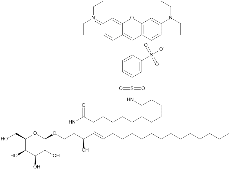 C12 Lissamine-rhodamine Galactosylceramide