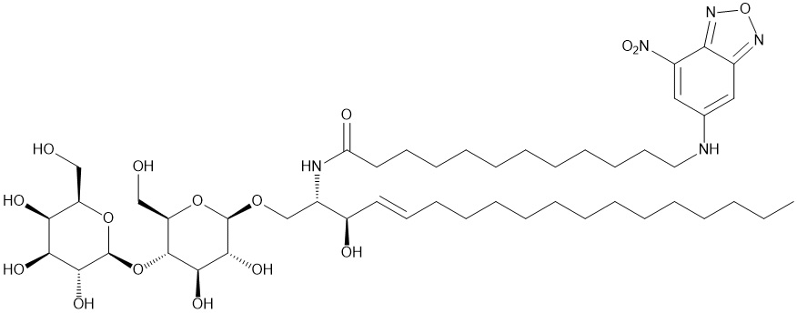 C12 NBD Lactosylceramide,cas:474943-06-1