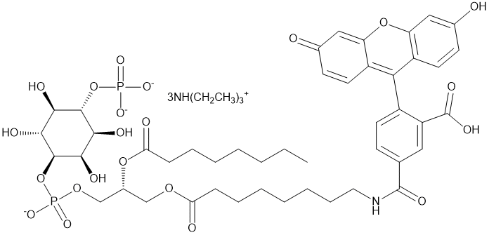 PtdIns (4)-P1-fluorescein ammonium salt