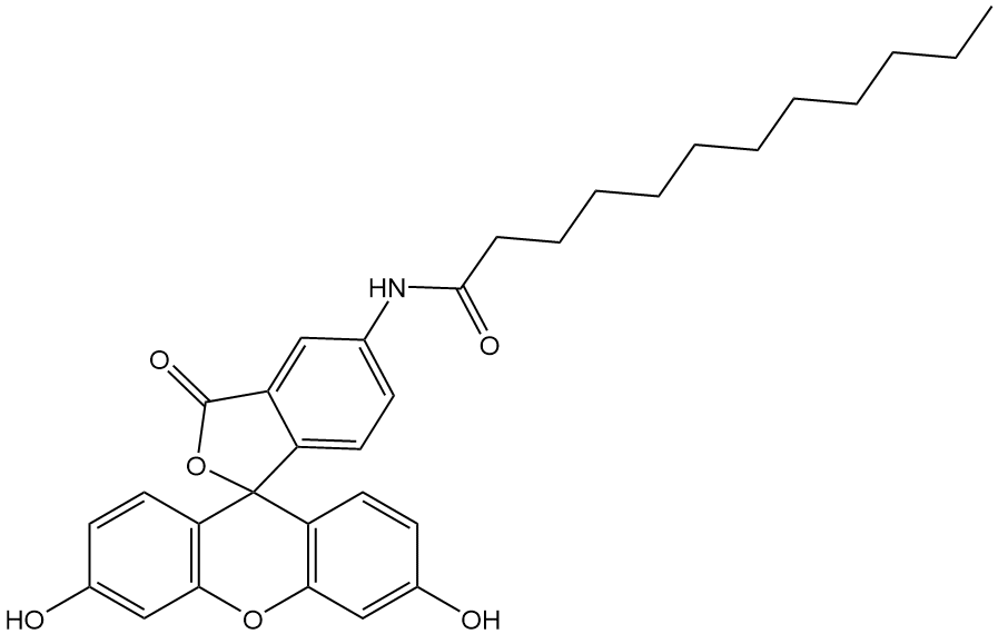 5-Dodecanoylaminofluorescein,cas:107827-77-0