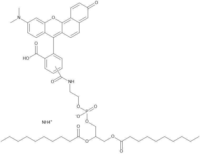 RhodFluor DDPE