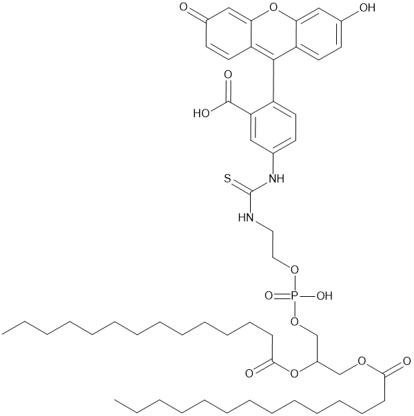 Fluorescein DMPE