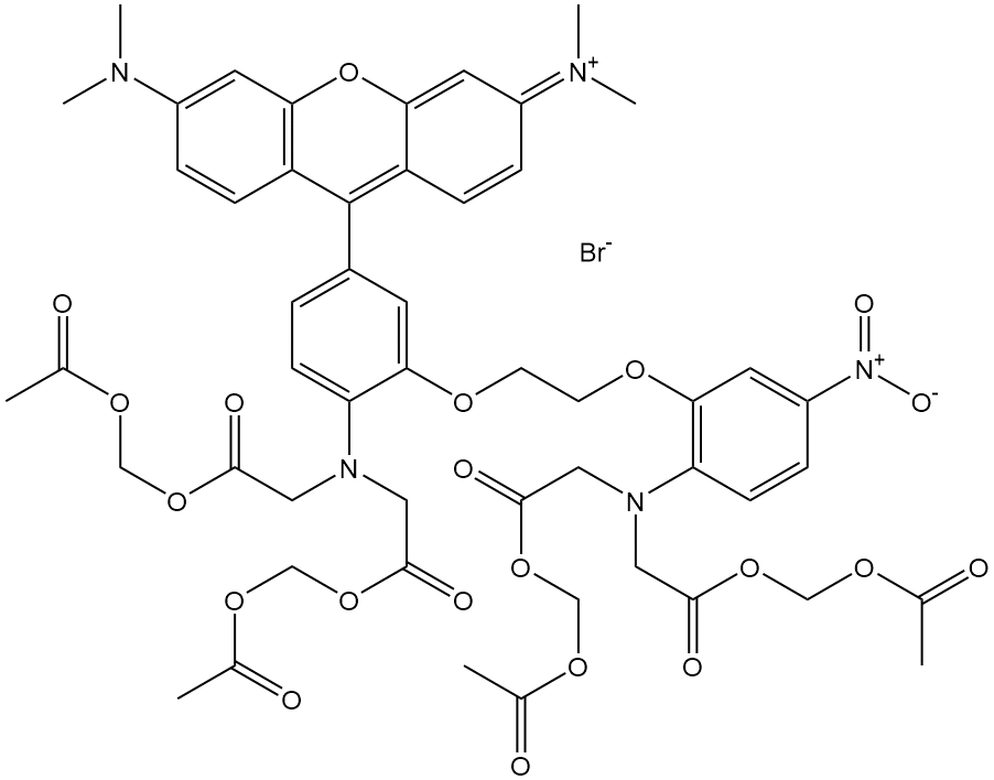 Rhod-5N AM    