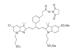 IRDye® 680RD NHS Ester