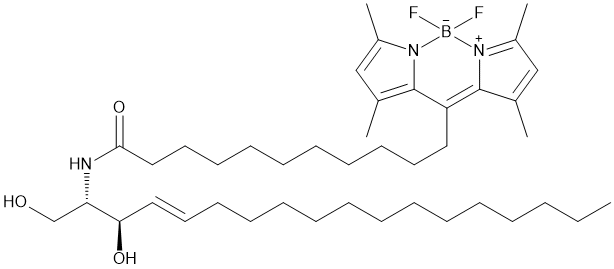 BODIPY-C12 Ceramide