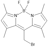 meso-CH2Br-BODIPY,cas:216434-81-0 