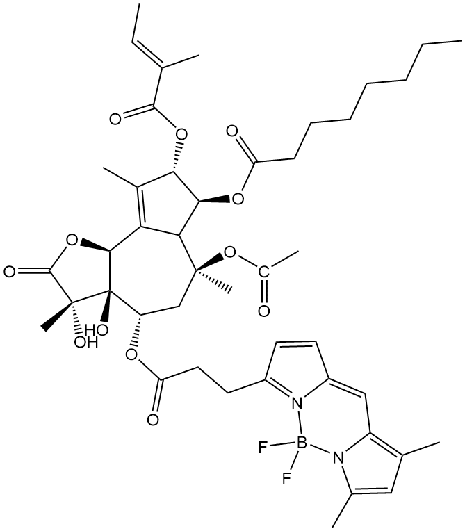 BODIPY FL Thapsigargin,cas:216571-99-2