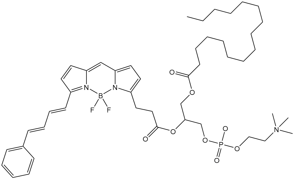 BODIPY 581-591 C3-HPC 