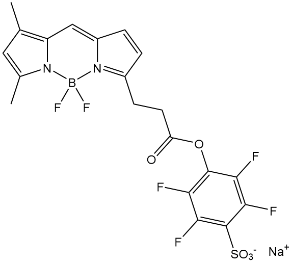 BODIPY FL, STP Ester, Sodium Salt