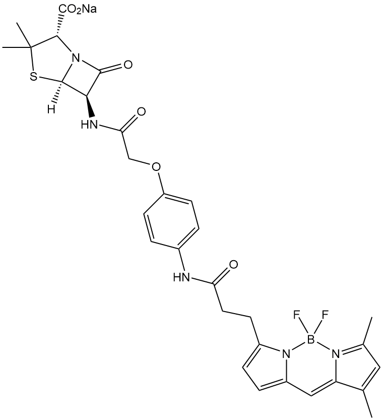 BODIPY FL Penicillin   