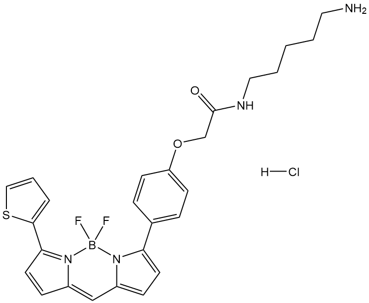 BODIPY TR Cadaverine