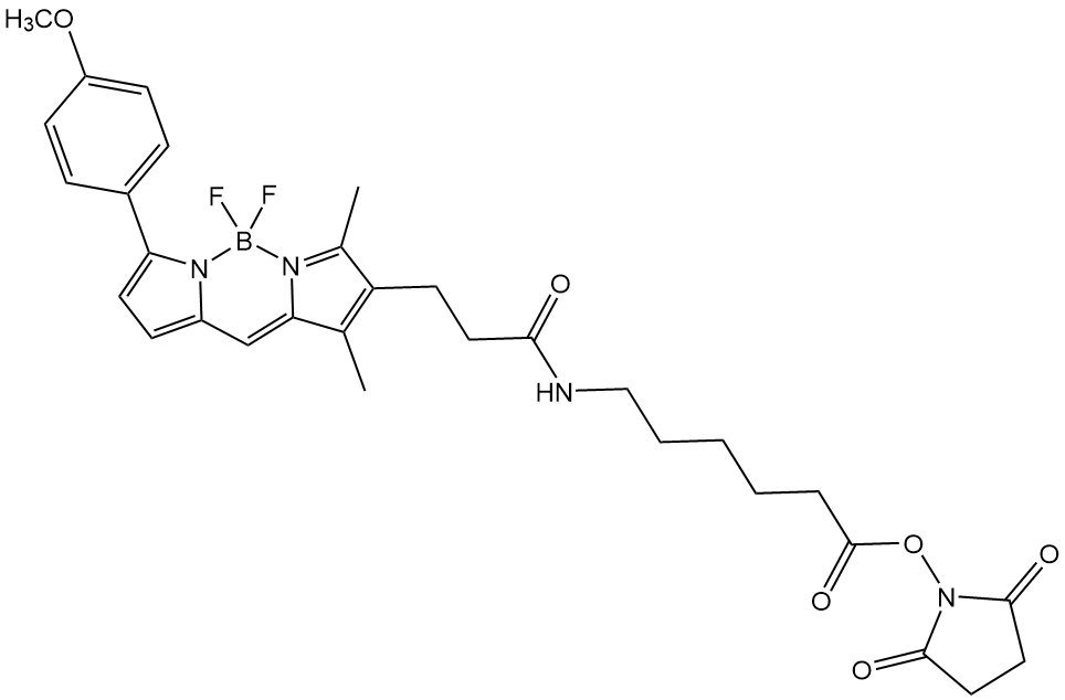 BODIPY TMR-X SE - Ruixibiotech