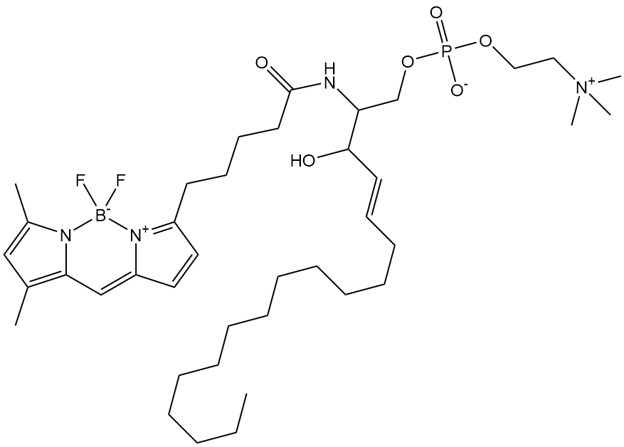 BODIPY FL C5-Sphingomyelin