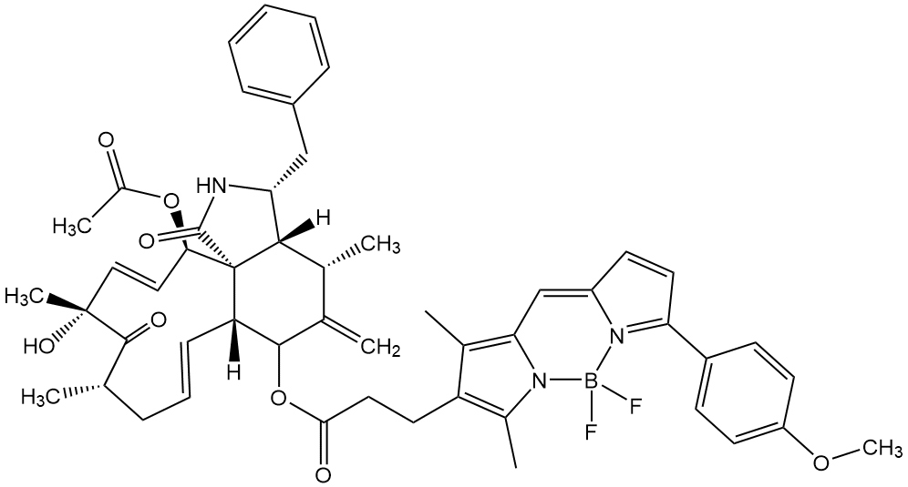 Cytochalasin D,BODIPY TMR Conjugate 