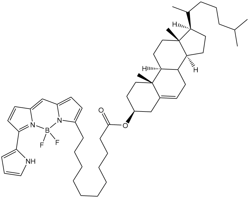 Cholesteryl BODIPY 576/589 C11 