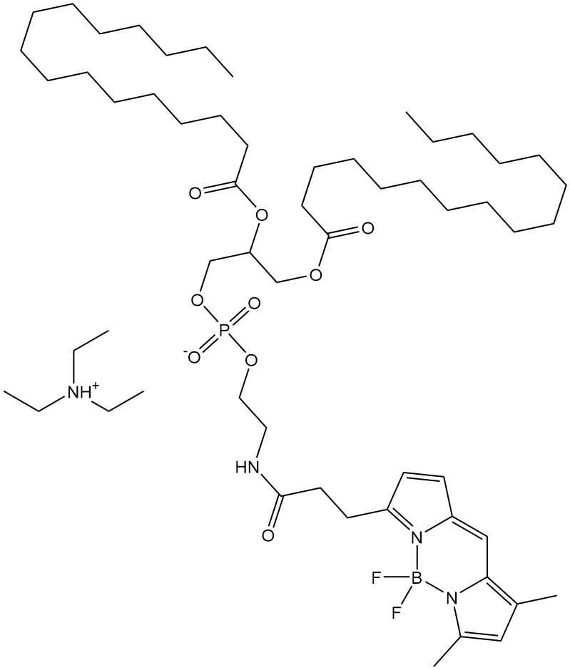 BODIPY FL DHPE